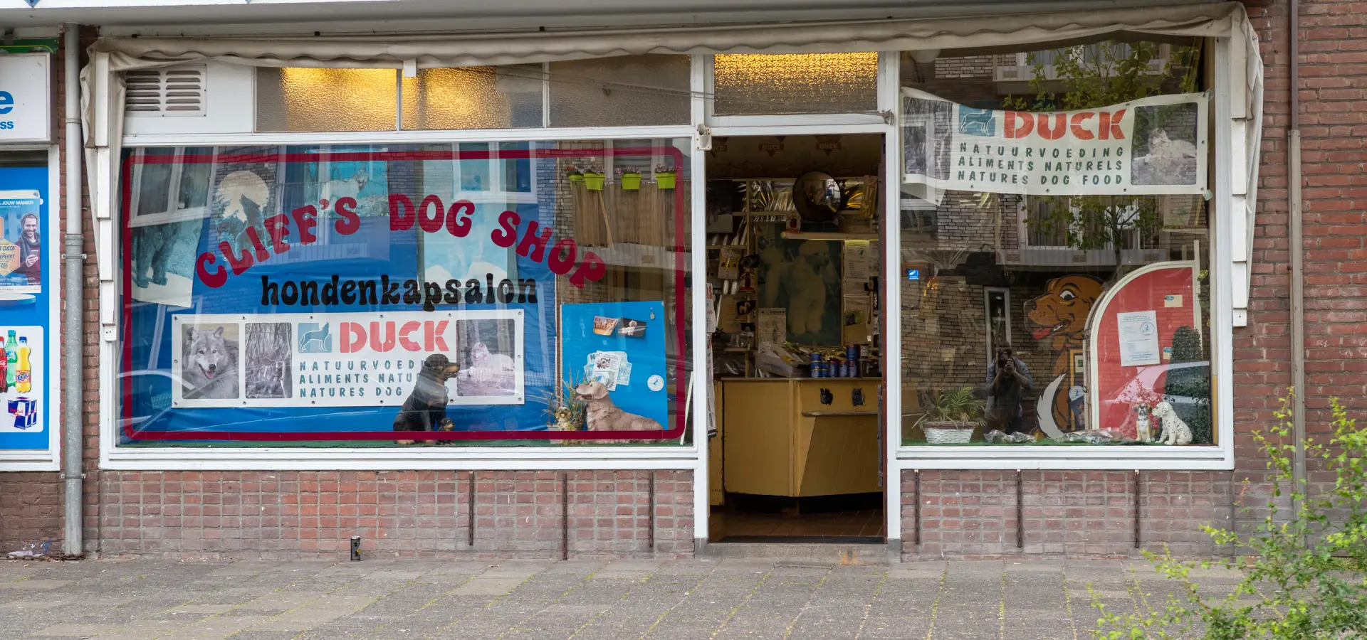 De honden van Fred in de salon